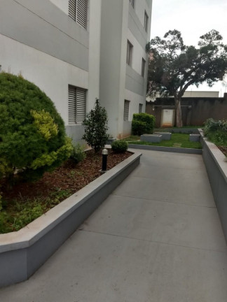 Imagem Apartamento com 3 Quartos à Venda, 76 m² em Jardim Pacaembu - Piracicaba Imagem Apartamento com 3 Quartos à Venda, 76 m² em Jardim Pacaembu - Piracicaba