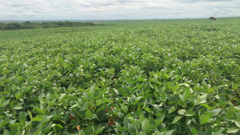 Imagem Fazenda à Venda, 632 m² em Rural - Echaporã