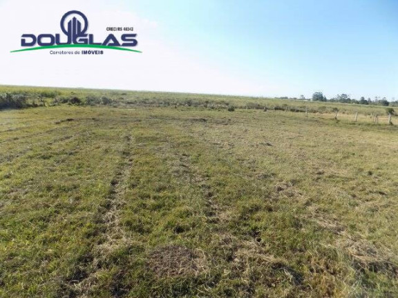 Imagem Chácara à Venda, 8 m² em águas Claras - Viamão