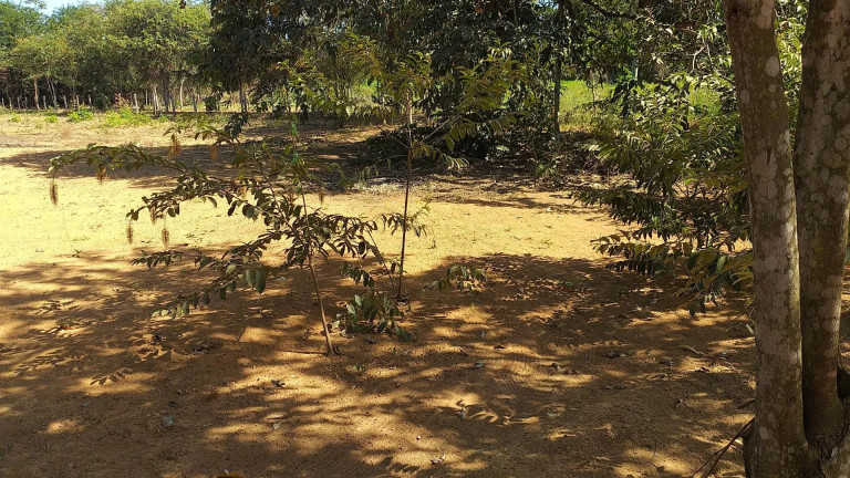 Imagem Terreno à Venda, 4.444 m² em Chácara De Lazer Boa Vista - Sinop Imagem Terreno à Venda, 4.444 m² em Chácara De Lazer Boa Vista - Sinop