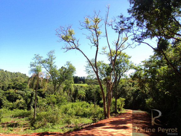 Imagem Terreno à Venda, 3.000 m² em Fazenda São Borja - São Leopoldo