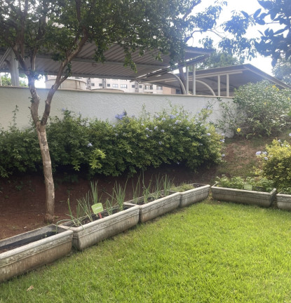 Imagem Apartamento com 2 Quartos à Venda, 48 m² em Campos Elíseos - Ribeirão Preto Imagem Apartamento com 2 Quartos à Venda, 48 m² em Campos Elíseos - Ribeirão Preto