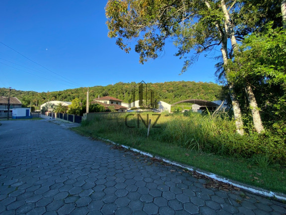 Imagem Terreno à Venda, 478 m² em São Pedro - Brusque Imagem Terreno à Venda, 478 m² em São Pedro - Brusque