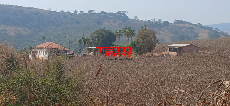 Imagem Imóvel com 4 Quartos à Venda,  em Zona Rural - Conceição Do Rio Verde