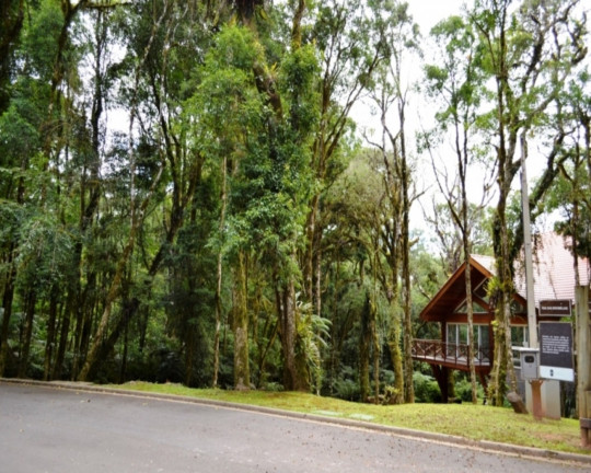 Imagem Imóvel à Venda, 1.657 m² em Vila Moura - Gramado Imagem Imóvel à Venda, 1.657 m² em Vila Moura - Gramado