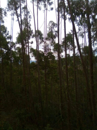 Imagem Terreno à Venda, 1 m² em Parque Santo Antônio - Jacareí Imagem Terreno à Venda, 1 m² em Parque Santo Antônio - Jacareí