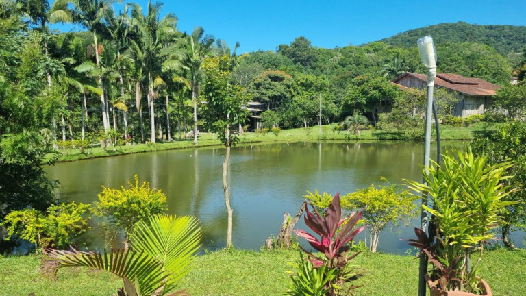 Imagem Imóvel com 4 Quartos à Venda, 