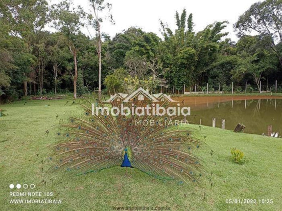 Imagem Chácara com 9 Quartos à Venda, 9.467 m² em Centro - Bragança Paulista