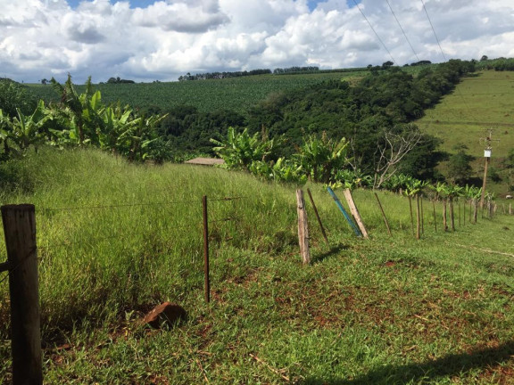 Imagem Chácara à Venda, 4 m² em Rural - Avaré Imagem Chácara à Venda, 4 m² em Rural - Avaré
