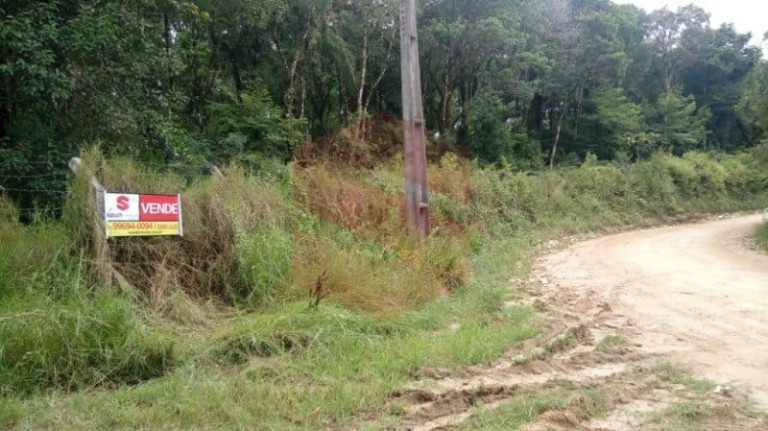 Imagem Chácara com 1 Quarto à Venda, 1 m² em Morro Do Cal - Campo Largo