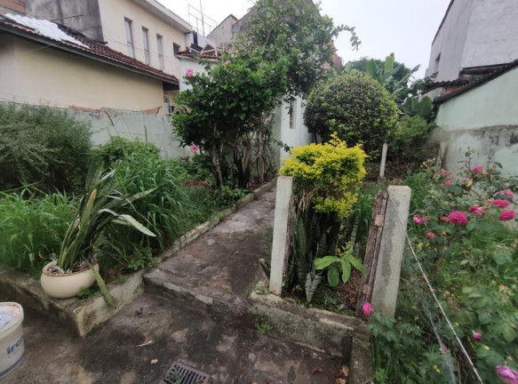 Imagem Terreno à Venda, 120 m² em São Miguel Paulista - São Paulo Imagem Terreno à Venda, 120 m² em São Miguel Paulista - São Paulo