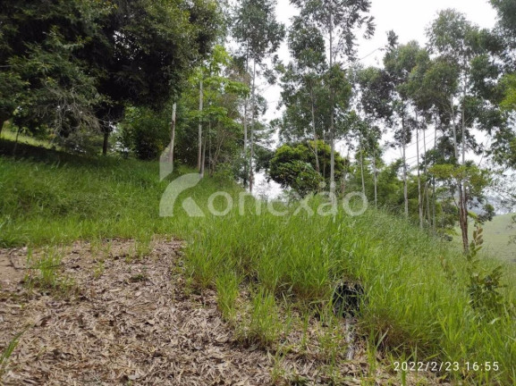 Imagem Chácara com 3 Quartos à Venda, 200 m² em Macaco - Paraibuna Imagem Chácara com 3 Quartos à Venda, 200 m² em Macaco - Paraibuna