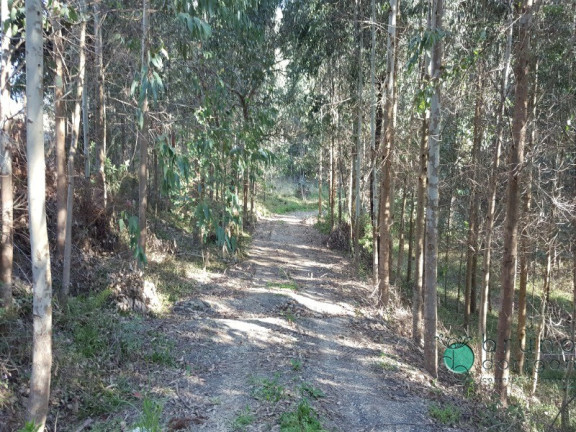 Imagem Imóvel com 2 Quartos à Venda, 50.000 m² em Zona Rural - Alfredo Wagner Imagem Imóvel com 2 Quartos à Venda, 50.000 m² em Zona Rural - Alfredo Wagner