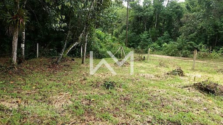 Imagem Terreno à Venda, 1.462 m² em Jardim Coronel - Itanhaém Imagem Terreno à Venda, 1.462 m² em Jardim Coronel - Itanhaém