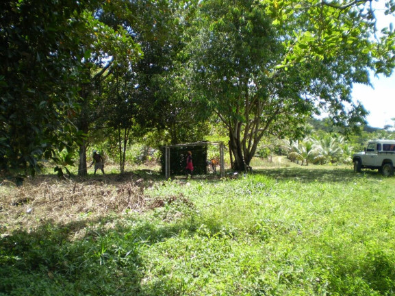 Chácara com 2 Quartos à Venda, 2 m² em Nilo Peçanha