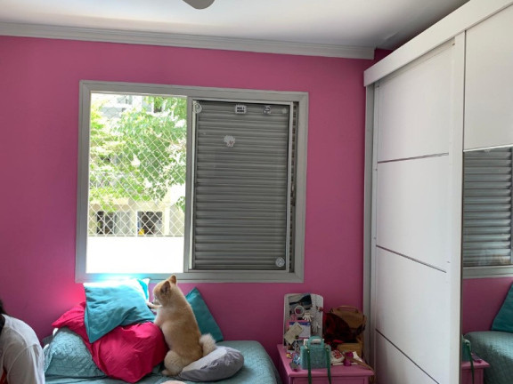 Imagem Imóvel com 4 Quartos à Venda, 210 m² em Cambuci - São Paulo Imagem Imóvel com 4 Quartos à Venda, 210 m² em Cambuci - São Paulo