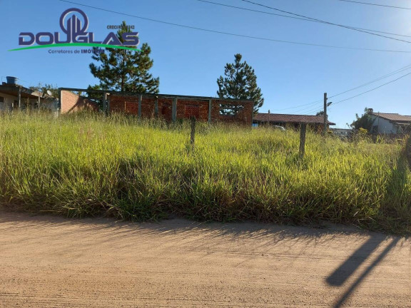 Imagem Casa à Venda, 600 m² em Viamão Imagem Casa à Venda, 600 m² em Viamão