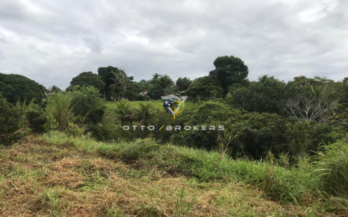 Imagem Terreno à Venda, 7.500 m² em Tânia - Santa Cruz Cabrália