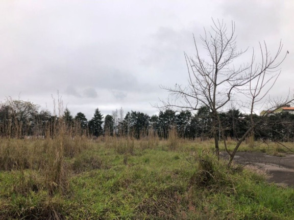 Imagem Terreno à Venda, 60 m² em Residencial Terras Do Vale - Caçapava