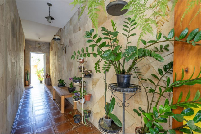 Imagem Casa com 3 Quartos à Venda,  em Cupecê - São Paulo