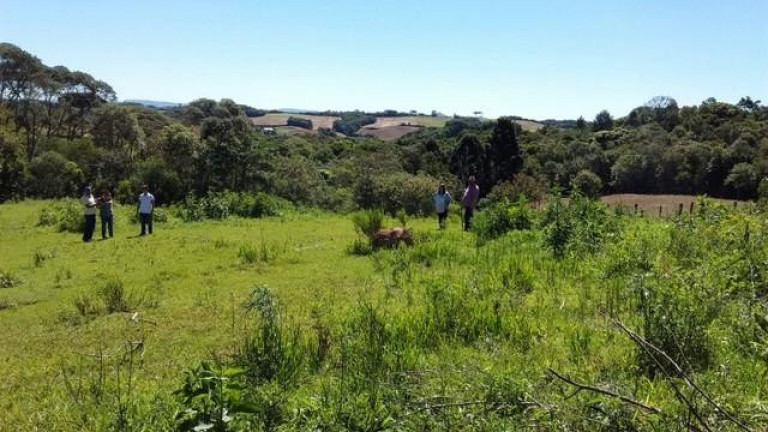 Imagem Imóvel com 4 Quartos à Venda, 300 m² em Dom Pedro - Campo Magro Imagem Imóvel com 4 Quartos à Venda, 300 m² em Dom Pedro - Campo Magro