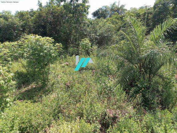 Imagem Fazenda à Venda, 2.500 m² em Serra Negra - Betim Imagem Fazenda à Venda, 2.500 m² em Serra Negra - Betim