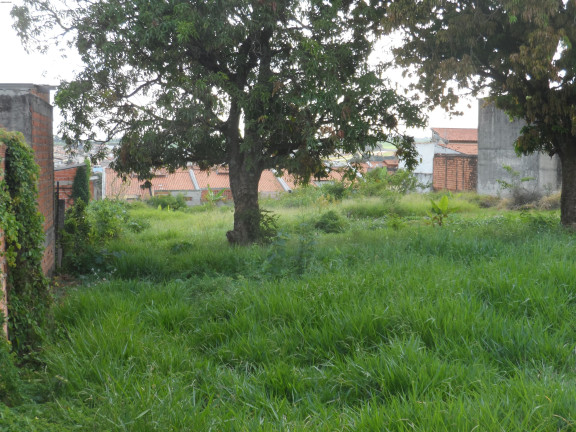 Imagem Imóvel à Venda, 4.100 m² em Lopes De Oliveira - Sorocaba Imagem Imóvel à Venda, 4.100 m² em Lopes De Oliveira - Sorocaba