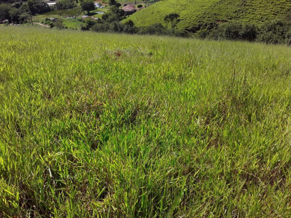 Imagem Chácara com 1 Quarto à Venda, 100 m² em Zona Rural - São Luíz Do Paraitinga Imagem Chácara com 1 Quarto à Venda, 100 m² em Zona Rural - São Luíz Do Paraitinga
