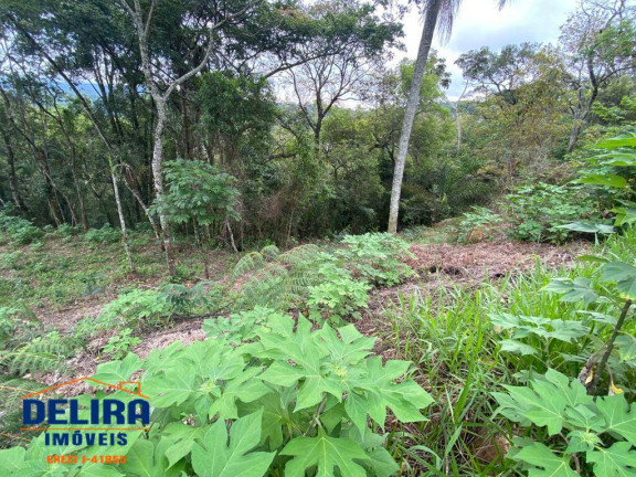 Imagem Terreno à Venda, 1 m² em Mato Dentro - Mairiporã Imagem Terreno à Venda, 1 m² em Mato Dentro - Mairiporã