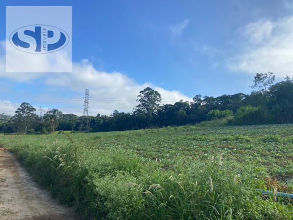 Imagem Terreno à Venda, 300 m² em Parque Santa Rosa - Suzano Imagem Terreno à Venda, 300 m² em Parque Santa Rosa - Suzano