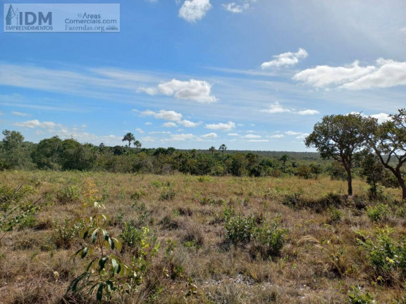 Imagem Chácara à Venda, 19.500.000 m² em Centro - Arinos