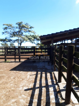 Imagem Fazenda à Venda, 277 m² em Quissamã Imagem Fazenda à Venda, 277 m² em Quissamã