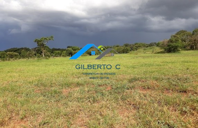 Imagem Imóvel à Venda, 7.685 m² em área Rural De Jacuba - Arealva