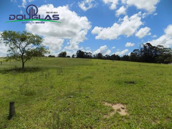 Imagem Chácara com 2 Quartos à Venda, 190.000 m² em Viamão