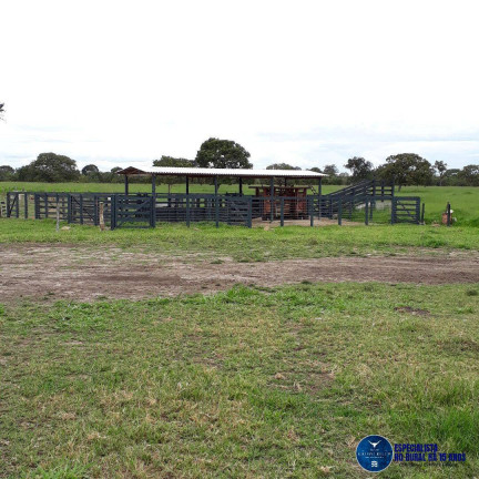 Imagem Fazenda à Venda, 31 m² em Zona Rural - Niquelândia Imagem Fazenda à Venda, 31 m² em Zona Rural - Niquelândia