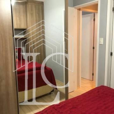 Imagem Apartamento com 3 Quartos à Venda, 63 m² em Cidade Ademar - São Paulo Imagem Apartamento com 3 Quartos à Venda, 63 m² em Cidade Ademar - São Paulo
