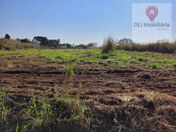 Imagem Imóvel à Venda, 97.000 m² em Bairro Soamin - Porto Feliz