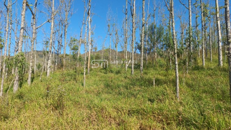 Imagem Imóvel à Venda, 1.477.200 m² em Bairro Bom Retiro - Bananal Imagem Imóvel à Venda, 1.477.200 m² em Bairro Bom Retiro - Bananal