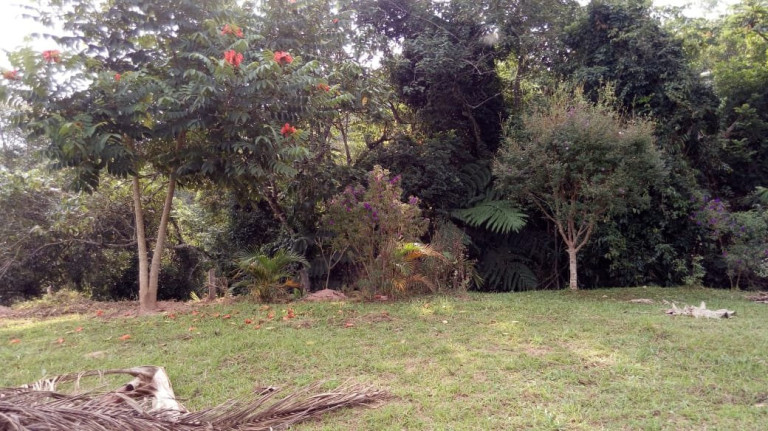 Imagem Fazenda à Venda, 80 m² em Taboão - Mogi Das Cruzes Imagem Fazenda à Venda, 80 m² em Taboão - Mogi Das Cruzes