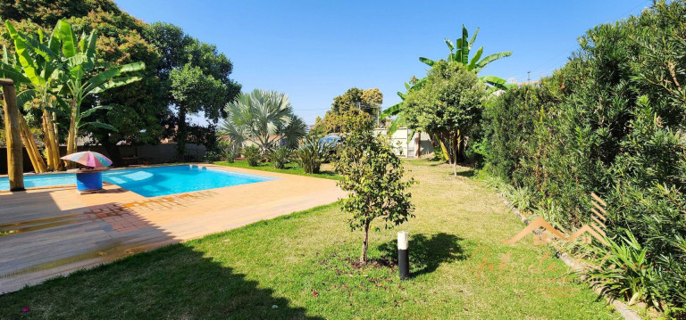 Imagem Imóvel com 2 Quartos à Venda, 1.236 m² em Tucura - Mogi Mirim Imagem Imóvel com 2 Quartos à Venda, 1.236 m² em Tucura - Mogi Mirim