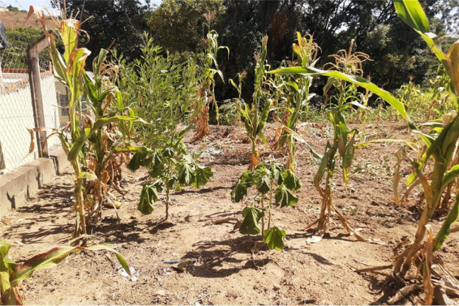 Imagem Terreno à Venda, 1.300 m² em Portal De Pirapora - Salto De Pirapora Imagem Terreno à Venda, 1.300 m² em Portal De Pirapora - Salto De Pirapora