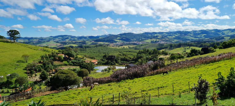 Imagem Chácara com 3 Quartos à Venda, 24.000 m² em Pedra Bela Imagem Chácara com 3 Quartos à Venda, 24.000 m² em Pedra Bela