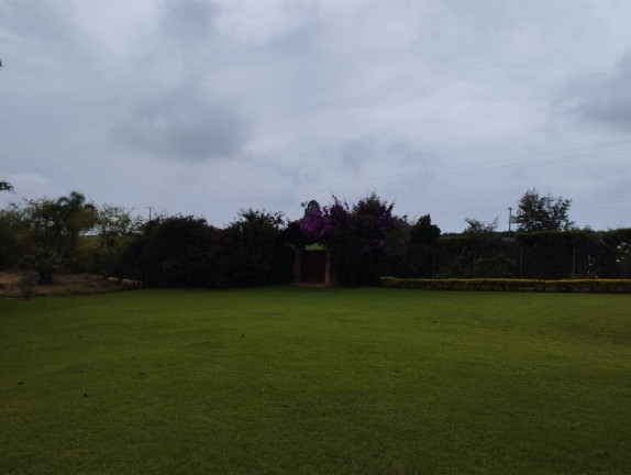 Imagem Chácara à Venda, 14.000 m² em Sarapui - Pilar Do Sul Imagem Chácara à Venda, 14.000 m² em Sarapui - Pilar Do Sul