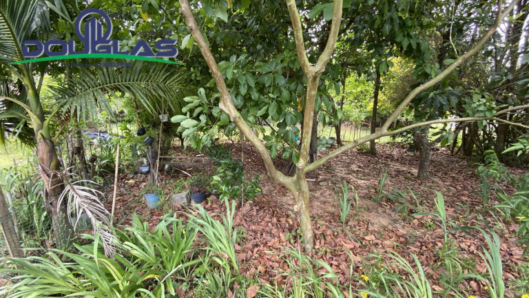 Imagem Chácara com 1 Quarto à Venda,  em águas Claras - Viamão