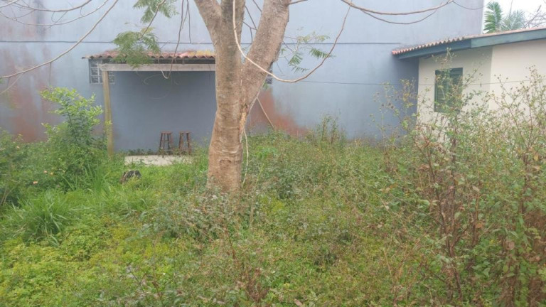 Imagem Casa com 3 Quartos à Venda, 360 m² em Curumim - Capão Da Canoa