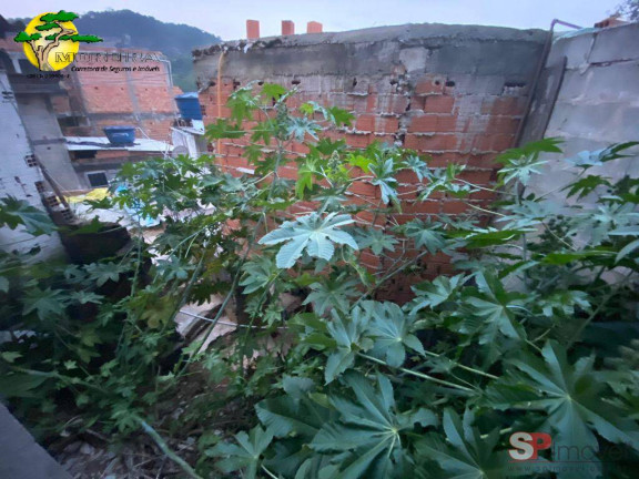 Imagem Casa com 1 Quarto à Venda, 100 m² em Nucleo Do Engordador - São Paulo Imagem Casa com 1 Quarto à Venda, 100 m² em Nucleo Do Engordador - São Paulo