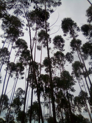 Imagem Terreno à Venda, 1 m² em Parque Santo Antônio - Jacareí Imagem Terreno à Venda, 1 m² em Parque Santo Antônio - Jacareí