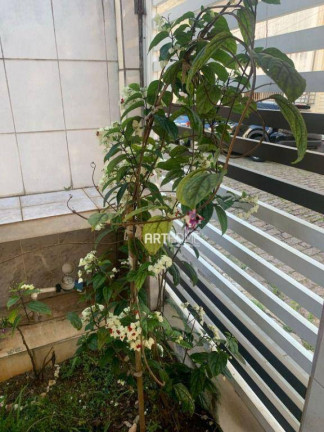 Imagem Casa com 2 Quartos à Venda, 155 m² em Centro - São Bernardo Do Campo