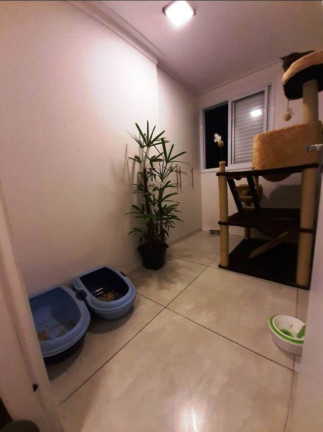 Imagem Imóvel com 2 Quartos à Venda, 55 m² em Vila Matilde - São Paulo Imagem Imóvel com 2 Quartos à Venda, 55 m² em Vila Matilde - São Paulo