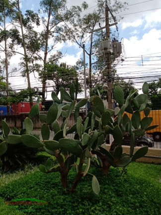 Imagem Apartamento com 2 Quartos à Venda, 49 m² em Jardim Andaraí - São Paulo Imagem Apartamento com 2 Quartos à Venda, 49 m² em Jardim Andaraí - São Paulo